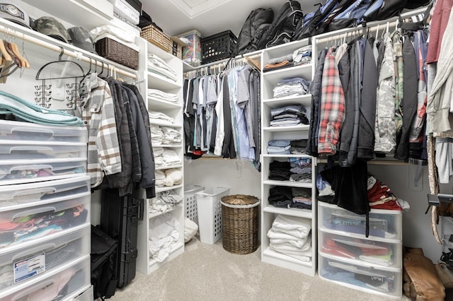 walk in closet with carpet