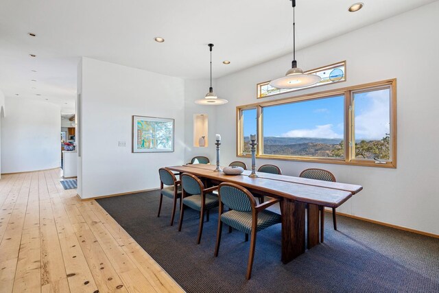 dining space featuring hardwood / wood-style floors