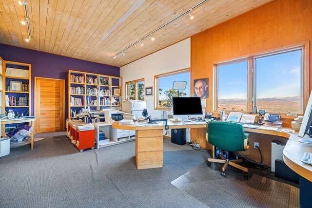 office space featuring wooden ceiling, plenty of natural light, carpet flooring, and track lighting