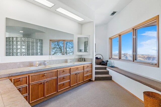 bathroom with double sink vanity