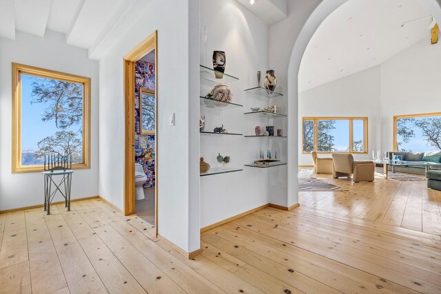 hall with high vaulted ceiling, light hardwood / wood-style floors, and built in shelves