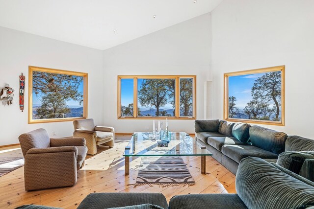 living room with high vaulted ceiling and hardwood / wood-style floors