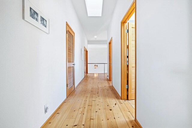 corridor featuring a skylight and light wood-type flooring