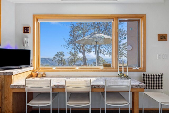 dining area featuring a healthy amount of sunlight