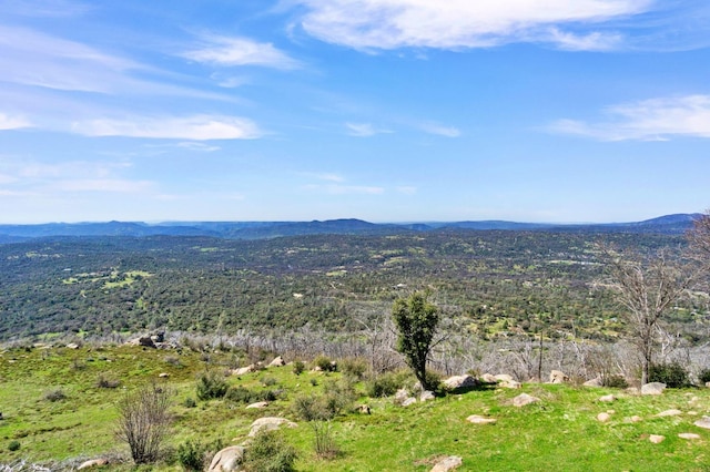 aerial view with a mountain view