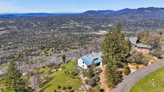 birds eye view of property featuring a mountain view