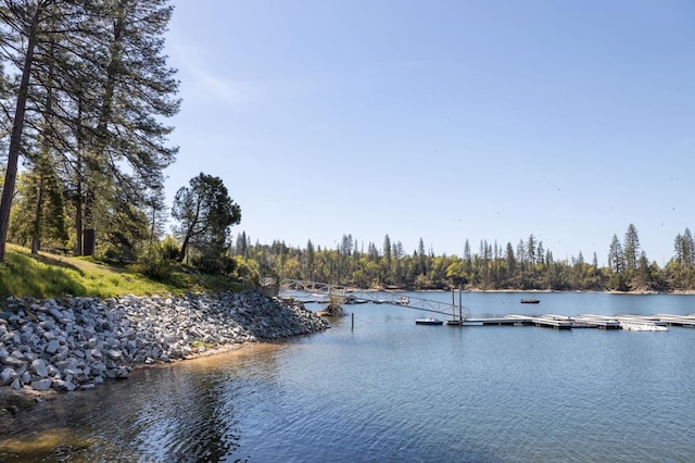 water view featuring a boat dock