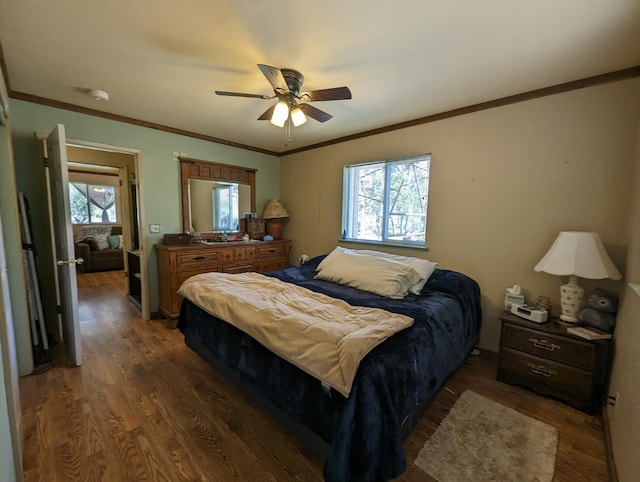 bedroom featuring a ceiling fan, multiple windows, wood finished floors, and ornamental molding