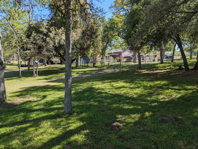 view of community featuring a yard