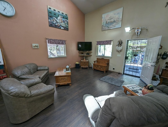living area featuring high vaulted ceiling and wood finished floors