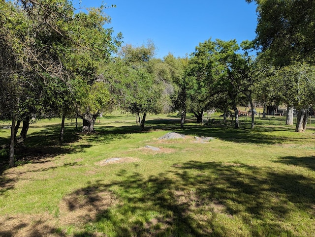 surrounding community with a lawn