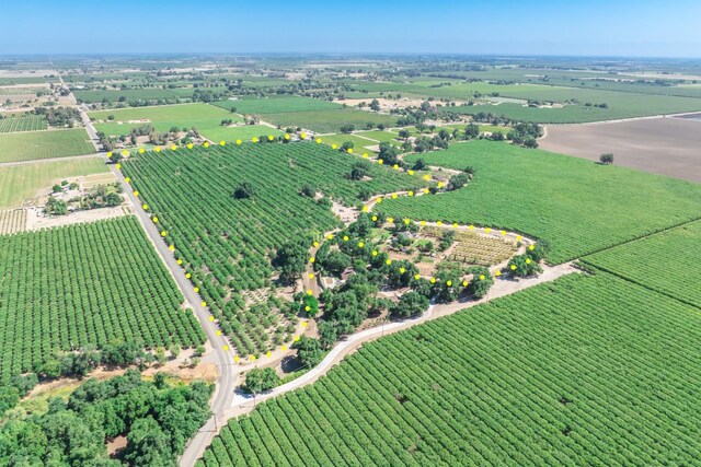 birds eye view of property featuring a rural view