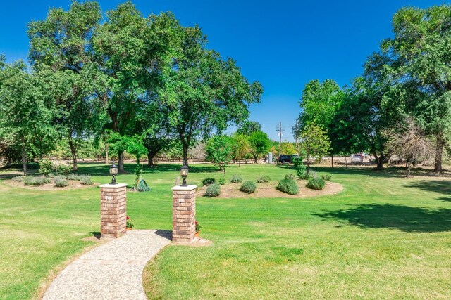 view of property's community with a yard