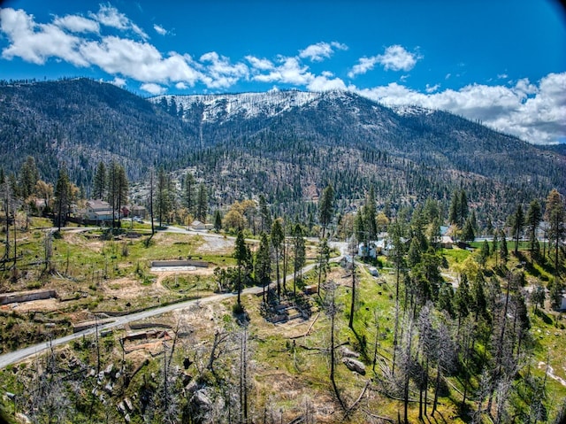 55277 Jungle Town Ln, Big Creek CA, 93605 land for sale