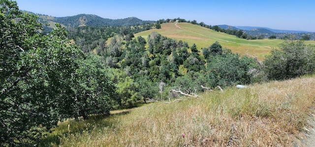 Listing photo 3 for 1111 Lazy L Summit Ln, Coarsegold CA 93614