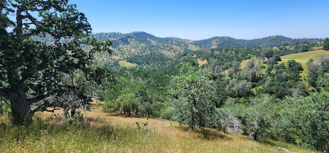 1111 Lazy L Summit Ln, Coarsegold CA, 93614 land for sale