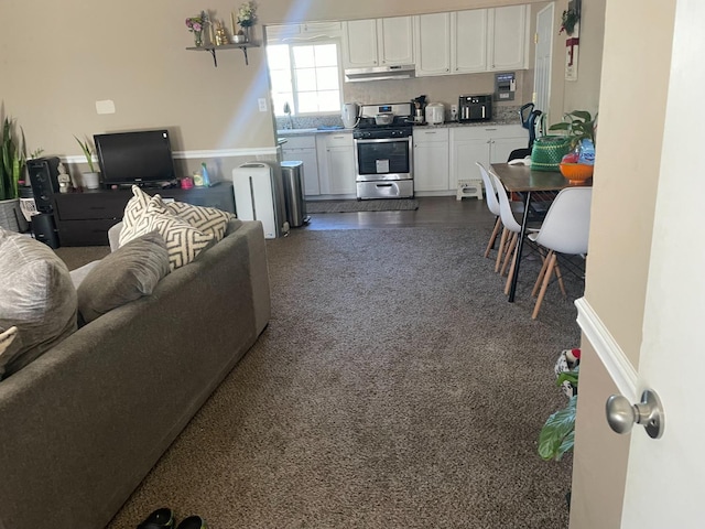 carpeted living room featuring sink