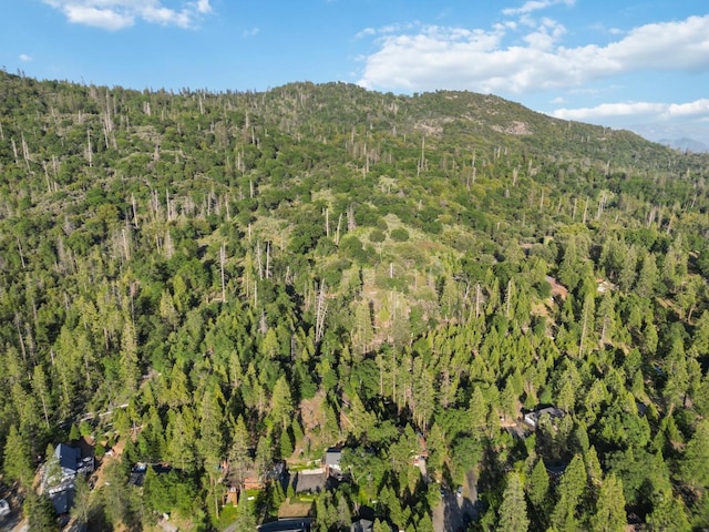 birds eye view of property with a mountain view and a view of trees