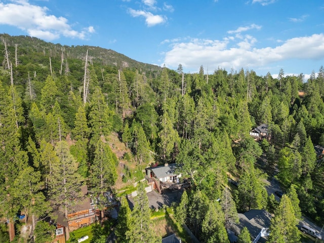 birds eye view of property with a forest view