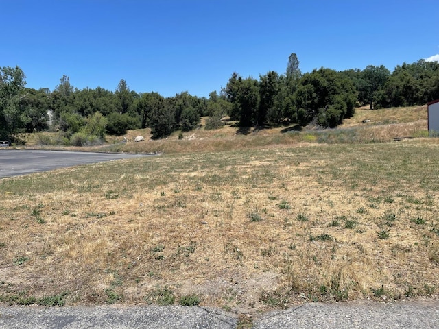 38 Junction Dr, Oakhurst CA, 93644 land for sale