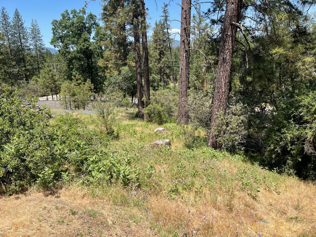 25 Victoria Pl, Oakhurst, CA 93644 - photo 1