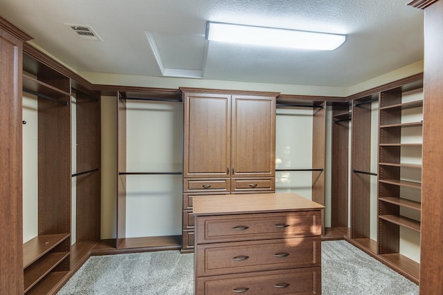 walk in closet with carpet