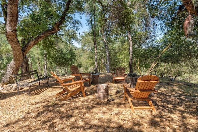 view of yard featuring a fire pit