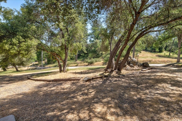 36844 Deer Path Crk, Coarsegold, CA 93614 - photo 55