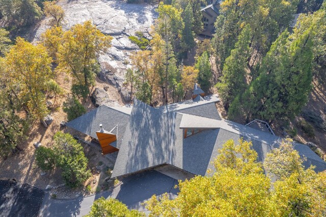 42342 Granite Rim, Shaver Lake, CA 93664 - photo 64