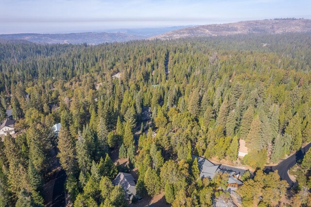 42342 Granite Rim, Shaver Lake, CA 93664 - photo 70