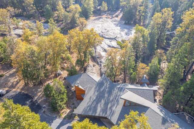 42342 Granite Rim, Shaver Lake, CA 93664 - photo 65