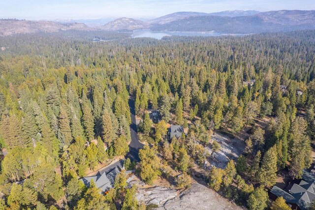 42342 Granite Rim, Shaver Lake, CA 93664 - photo 69