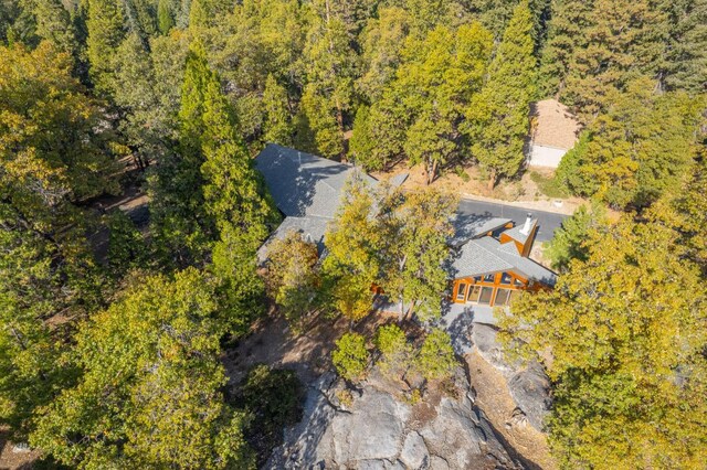 42342 Granite Rim, Shaver Lake, CA 93664 - photo 67