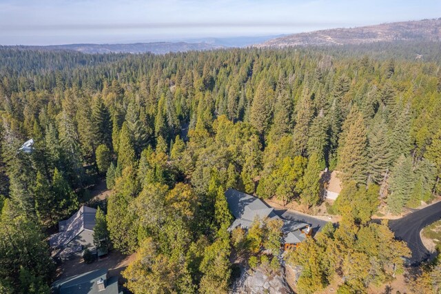 42342 Granite Rim, Shaver Lake, CA 93664 - photo 68