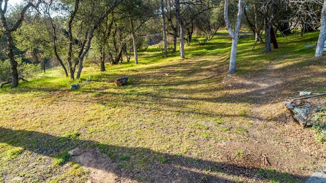46103 Safari World Dr, Coarsegold, CA 93614 - photo 8