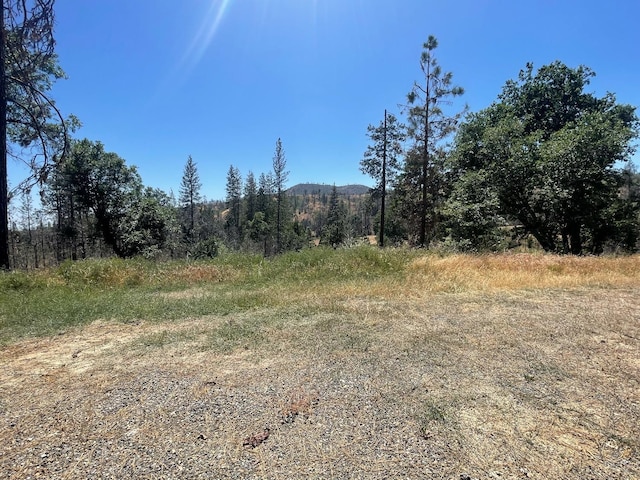 6264 Jerseydale Rd, Mariposa CA, 95338 land for sale