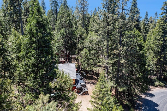 41842 Black Oak Way, Shaver Lake, CA 93664 - photo 39