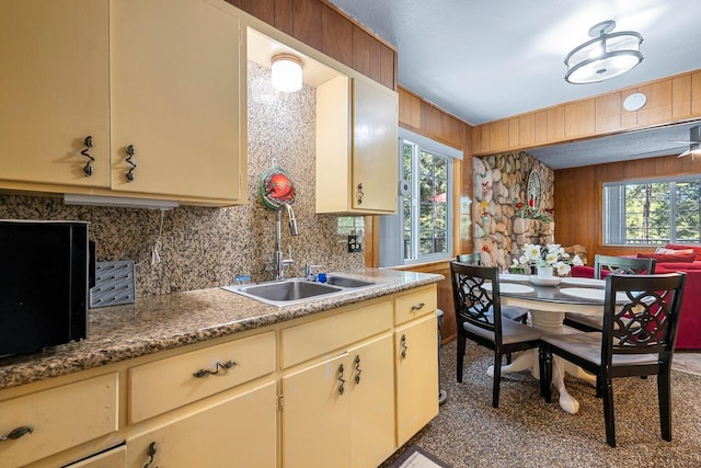 kitchen with wooden walls and sink