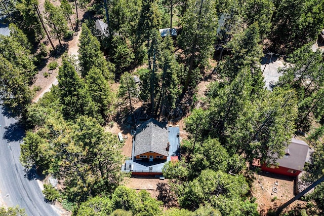 41842 Black Oak Way, Shaver Lake, CA 93664 - photo 41