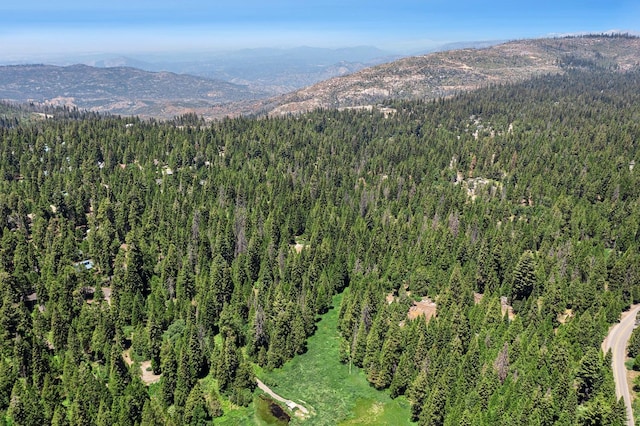 drone / aerial view featuring a mountain view