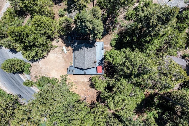 41842 Black Oak Way, Shaver Lake, CA 93664 - photo 42