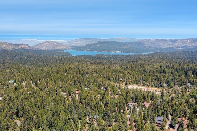 41842 Black Oak Way, Shaver Lake, CA 93664 - photo 47