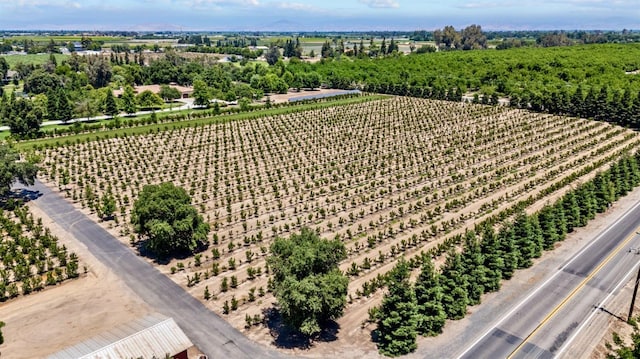 birds eye view of property with a rural view