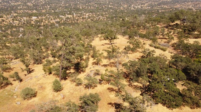 1392 Lilley Mountain Dr, Coarsegold, CA 93614