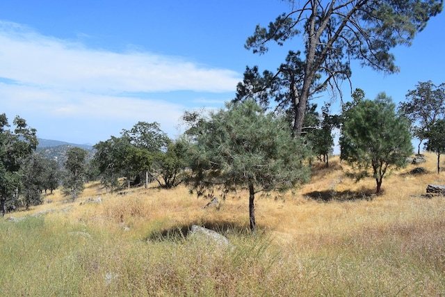 1392 Lilley Mountain Dr, Coarsegold CA, 93614 land for sale