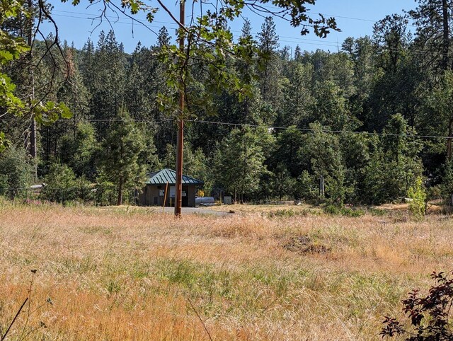 1 Rd 274, Bass Lake, CA 93604 - photo 7