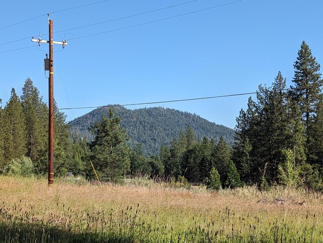 1 Rd 274, Bass Lake, CA 93604 - photo 11