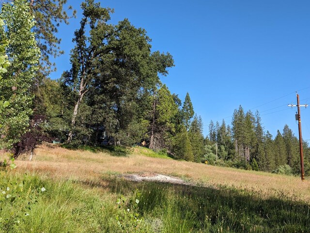 1 Rd 274, Bass Lake, CA 93604 - photo 12