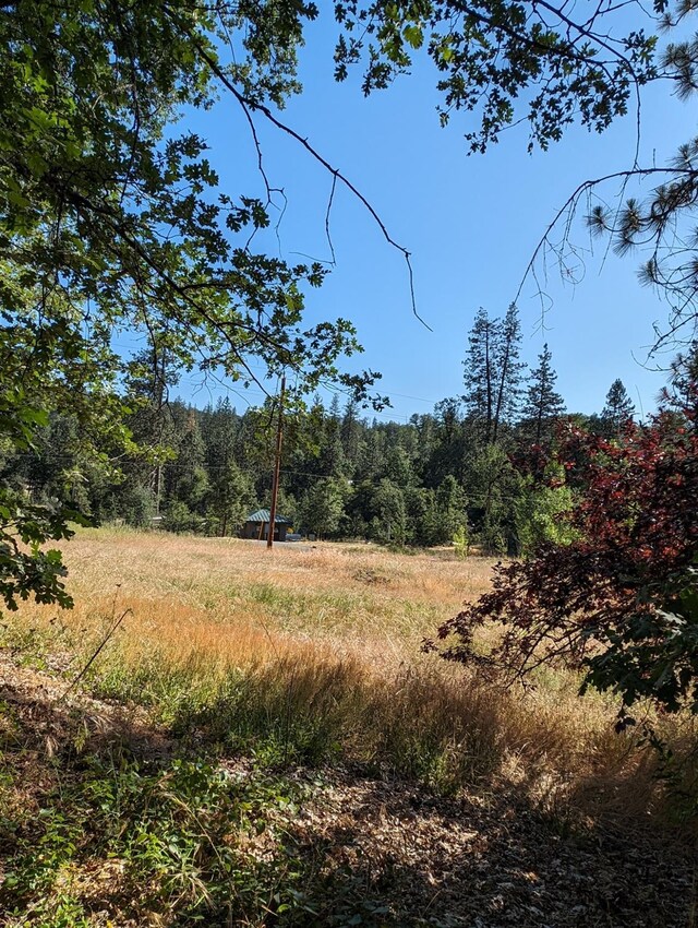 1 Rd 274, Bass Lake, CA 93604 - photo 8