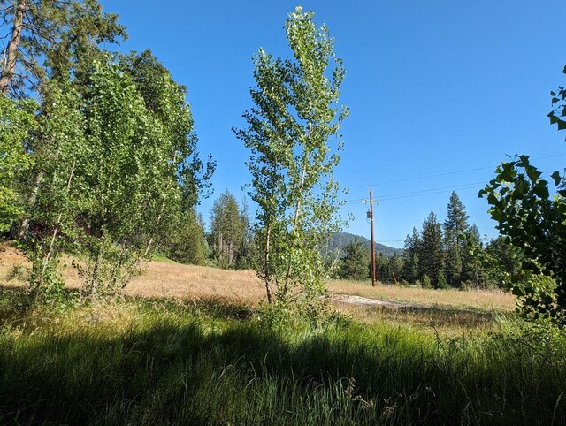 1 Rd 274, Bass Lake, CA 93604 - photo 9